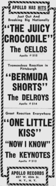 ad for Bermuda Shorts