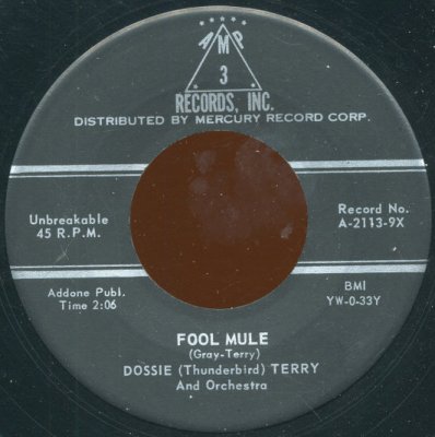 Fool Mule