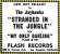 ad for Stranded In The Jungle